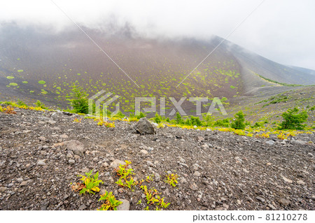 日本最高峰富士山! Hoei 1st Crater Edge的風景(靜岡縣御殿場)*作品評論部分的拍攝位置 日本最高峰富士山! Hoei 1st Crater Edge的風景(靜岡縣御殿場)*作品評論部分的拍攝位置 81210278