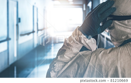 Image of Corona Image of Corona 81210669