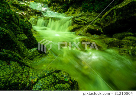 The mountain stream of Hiraya Otaki where the fresh green is dazzling The mountain stream of Hiraya Otaki where the fresh green is dazzling 81210804
