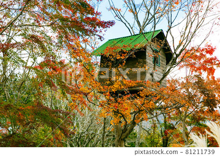 Tree house and maple autumn leaves Tree house and maple autumn leaves 81211739