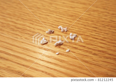 各種牙齒類型和幼犬的乳牙缺失 81212245