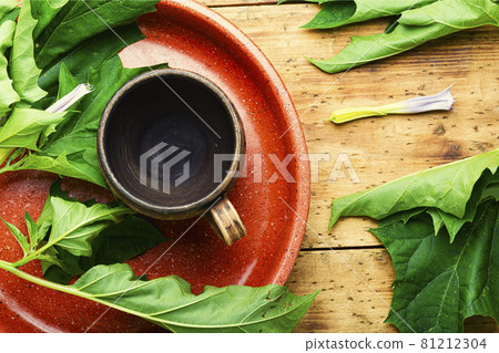 Datura medicinal tincture,datura leaves 81212304