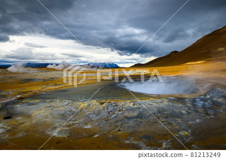 Steaming mud pool in the Hverir geothermal area in Iceland 81213249