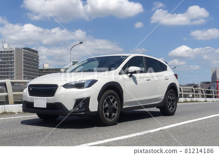 SUV多用途車 81214186