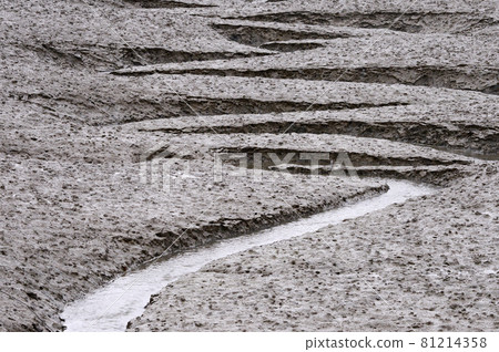 Tidal flats Masamyeon, Seocheon-gun, Chungcheongnam-do, Korea 81214358