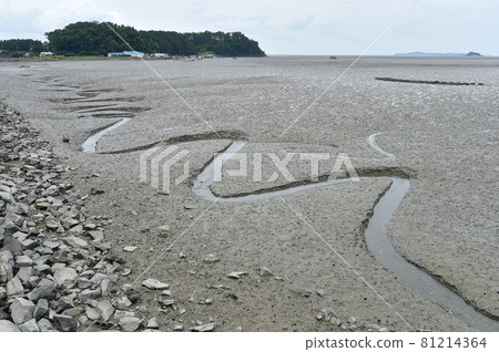 Tidal flats Masamyeon, Seocheon-gun, Chungcheongnam-do, Korea 81214364