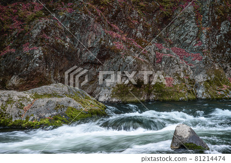 渡瀨溪谷 高津堂峽谷 81214474