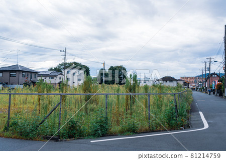 A vast vacant lot in a residential area, a land managed by a contractor A vast vacant lot in a residential area, a land managed by a contractor 81214759
