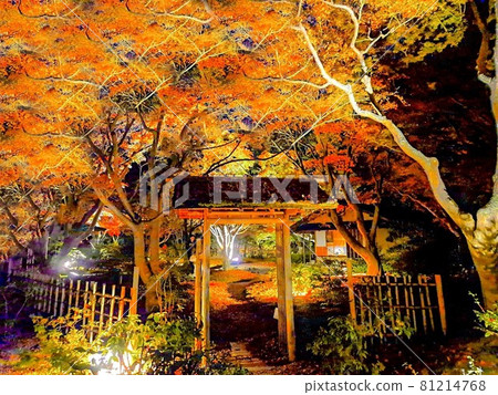 Autumn leaves ~ Light up ~ Autumn leaves ~ Light up ~ 81214768