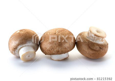 Mushroom Mushroom 81215392