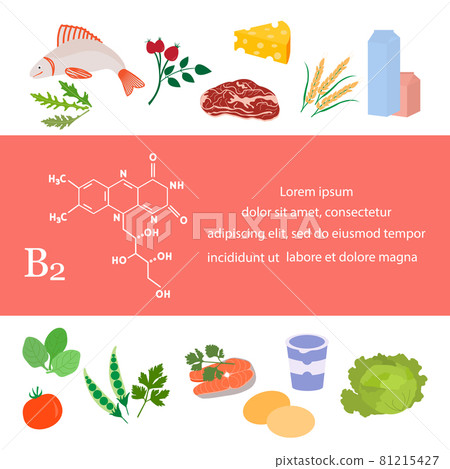 Healthy Food Proper Nutrition Vitamin B2 Organic Healthy Food Proper Nutrition Vitamin B2 Organic 81215427