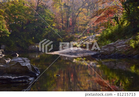 Ranzan Valley of autumn leaves, Saitama Prefecture Ranzan Valley of autumn leaves, Saitama Prefecture 81215713