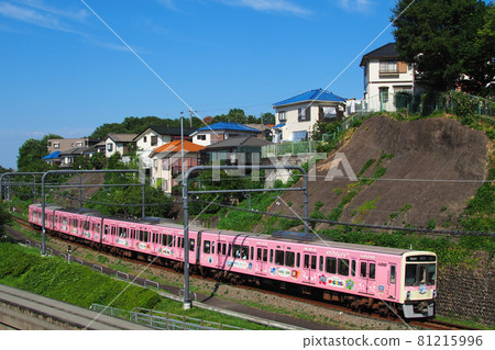 Keio Zoo Line | Pink Wrapping Train 81215996