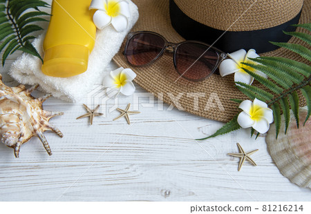 Summer vacation concept Summer vacation concept 81216214