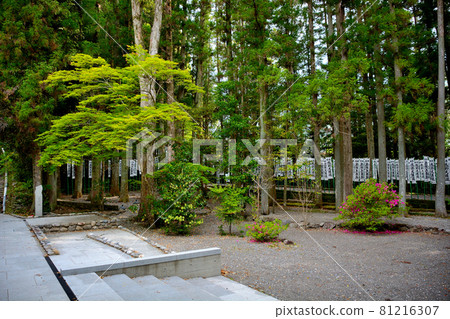 Kumano Hongu Taisha Shrine ・ View of Zuihoden in the precincts ・ Kumanosanzan ・ Wakayama (5) Kumano Hongu Taisha Shrine ・ View of Zuihoden in the precincts ・ Kumanosanzan ・ Wakayama (5) 81216307