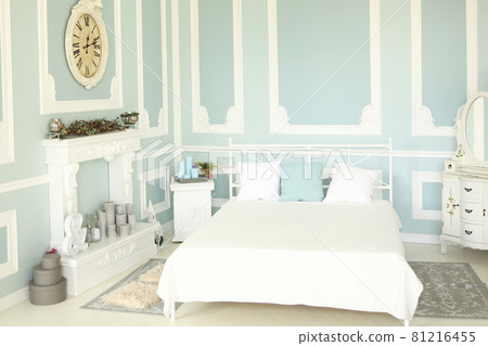 interior of the stylish bedroom .photo with copy space 81216455