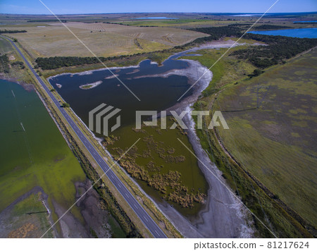 Pampas lagoon, aerial view 81217624