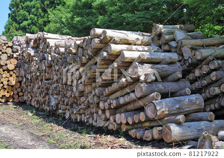 村上市高根保管區 81217922