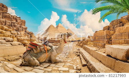 Ravalines of Giza Ravalines of Giza 81217993