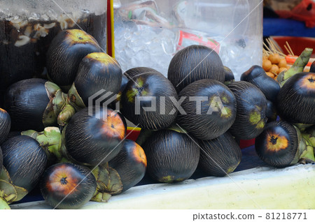 SERDANG, MALAYSIA -JULY 30, 2016: Sea coconut or Lodoicea Maldivica. SERDANG, MALAYSIA -JULY 30, 2016: Sea coconut or Lodoicea Maldivica. 81218771