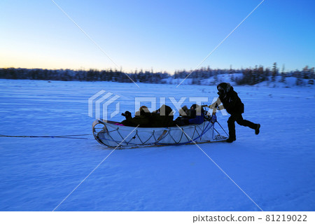 Dog sledding_Yellowknife 81219022