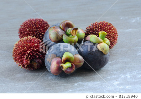 Ripe mangosteen and pulasan fruit. Frash pick up from the tree. Ripe mangosteen and pulasan fruit. Frash pick up from the tree. 81219940