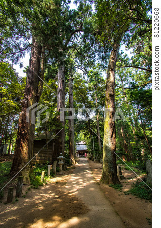 千葉縣東金市日吉神社參拜風景 81220668
