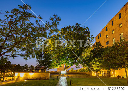 The Survivor Tree in the Oklahoma City National Memorial and Museum 81222502