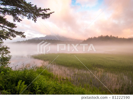 Dawn scenery of Oze seen on the shore of Lake Ozenuma in Oze National Park Dawn scenery of Oze seen on the shore of Lake Ozenuma in Oze National Park 81222590
