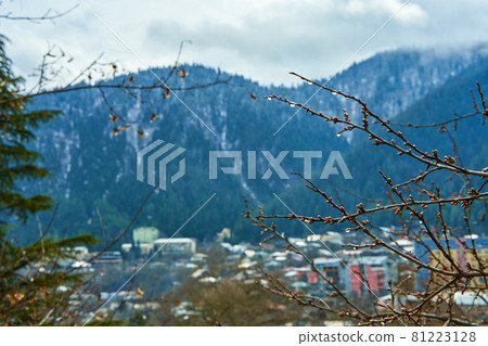 Spring in the mountains. Branch of a tree with a drop of water. Thaw after snowfall Spring in the mountains. Branch of a tree with a drop of water. Thaw after snowfall 81223128