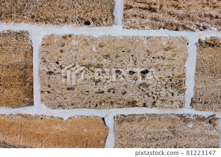 Building material texture. Bricks formed by seashells. Background, texture 81223147
