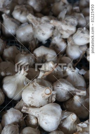 大蒜 81225450