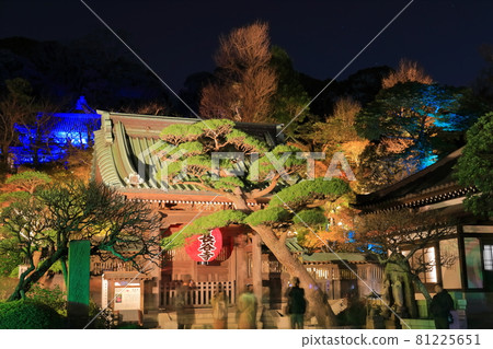 [Kanagawa] Hase-ji autumn leaves light up 81225651