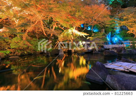 [神奈川縣]長谷寺秋葉照亮 81225663