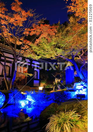 [神奈川縣]長谷寺秋葉照亮 81225669