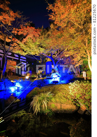 [神奈川縣]長谷寺秋葉照亮 81225670