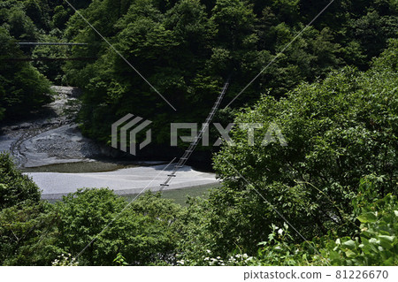 夏季黑部峽谷,從電車上看到的猴橋 夏季黑部峽谷,從電車上看到的猴橋 81226670