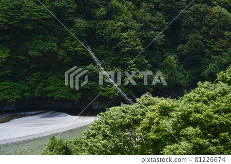 夏季黑部峽谷,從電車上看到的猴橋 夏季黑部峽谷,從電車上看到的猴橋 81226674
