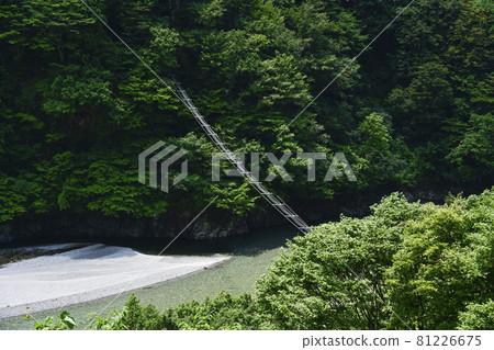 Summer Kurobe Gorge, monkey bridge seen from the trolley train 81226675