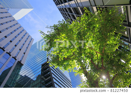 Building and blue sky image 81227450