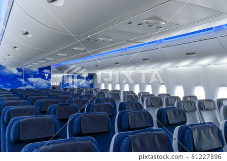 Flying Honu seats on board the aircraft 81227896