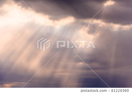 The sky where the light shines 81228360