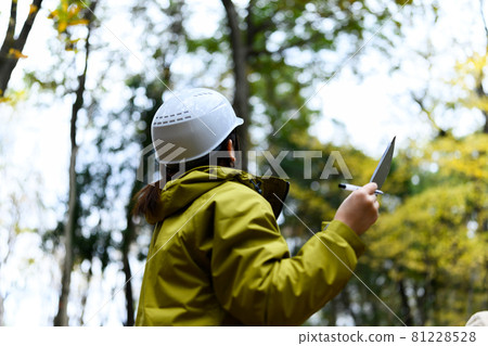forestry, back view, female 81228528
