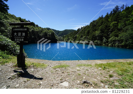 Akaishiyama hike from Onuma Pond in Shiga Kogen, Nagano Prefecture Arrive at Numajiri in Onuma Pond Akaishiyama hike from Onuma Pond in Shiga Kogen, Nagano Prefecture Arrive at Numajiri in Onuma Pond 81229231