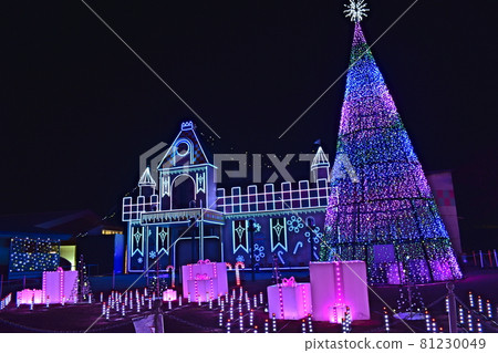 Illumination Tokiwa Park Yamaguchi 81230049