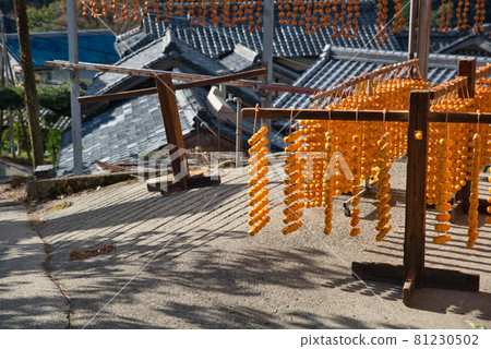 [Wakayama Prefecture] November, Kushikaki no Sato Shigo 81230502