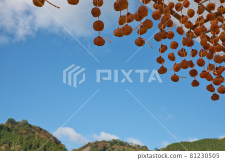 [Wakayama Prefecture] November, Kushikaki no Sato Shigo 81230505