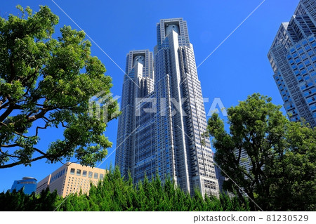 東京都 東京都 81230529