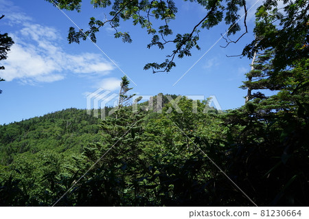 Shiga Kogen Onuma Pond to Akaishiyama Hiking Akaishiyama summit seen from the vicinity of the branch of Chuemon Shindo, which descends from the ridge to Onuma Pond 81230664