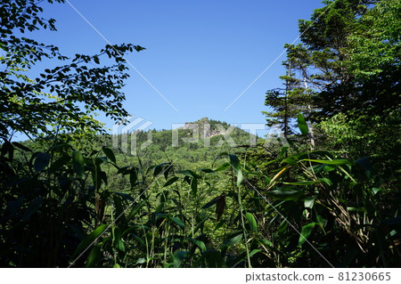 志賀高原徒步從大沼池到大沼池 從山脊下至大沼池的中右衛門神道分支附近看赤石山 81230665